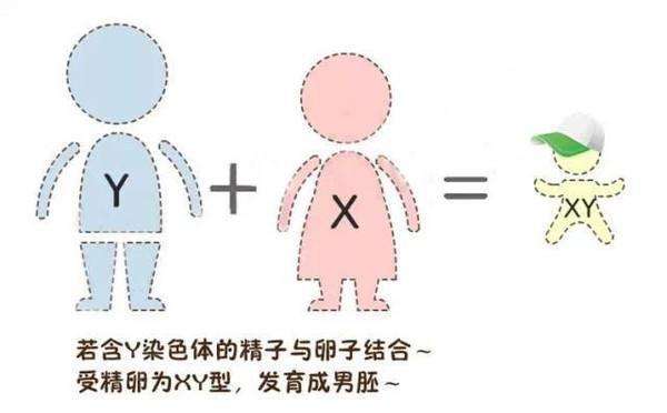 香港验血